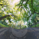 Image for article titled Photo wizard warps reality, invokes interdimensional wormholes on Earth